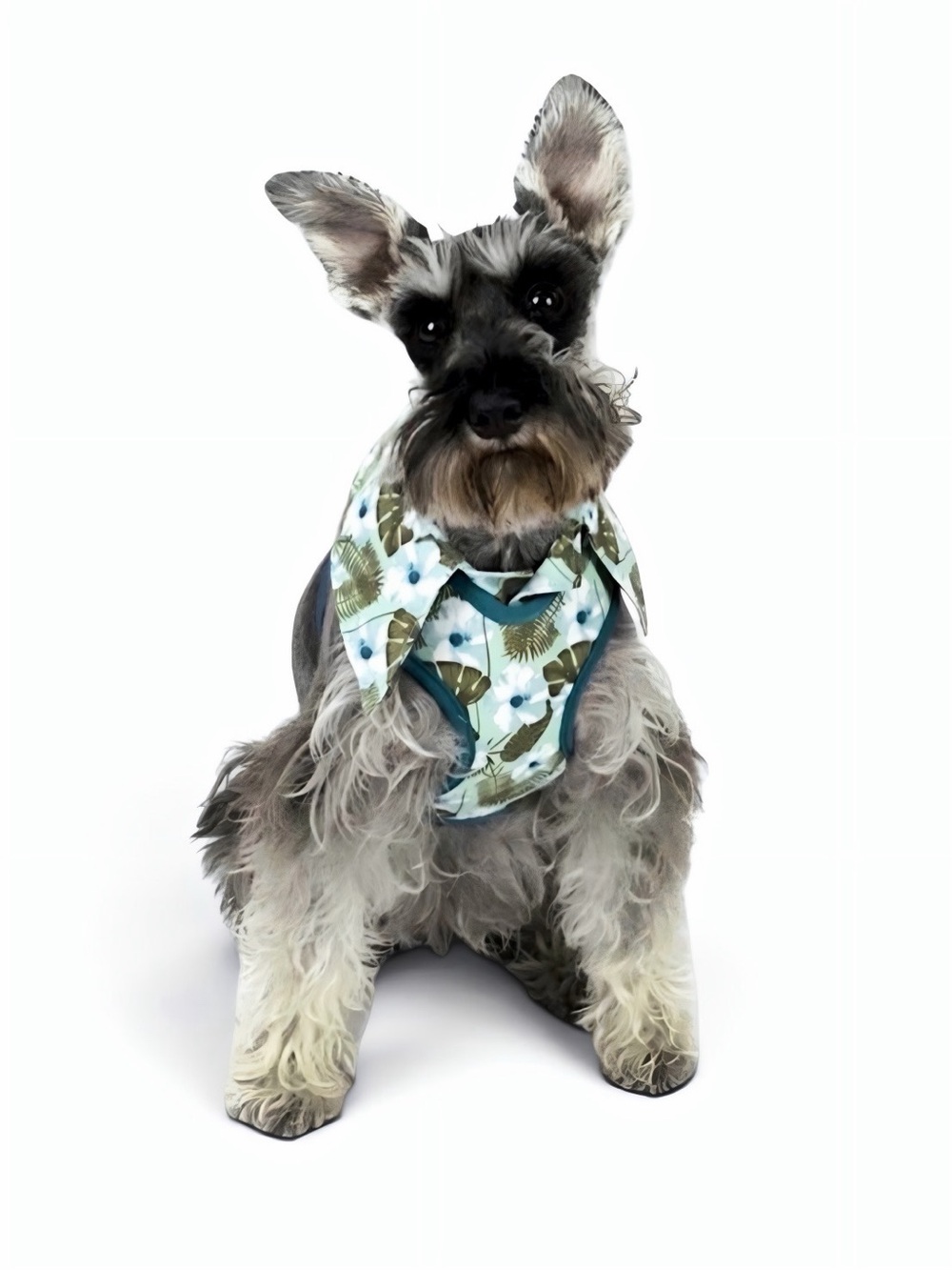 Vibrant Life Dog Hawaiian Shirt Harness